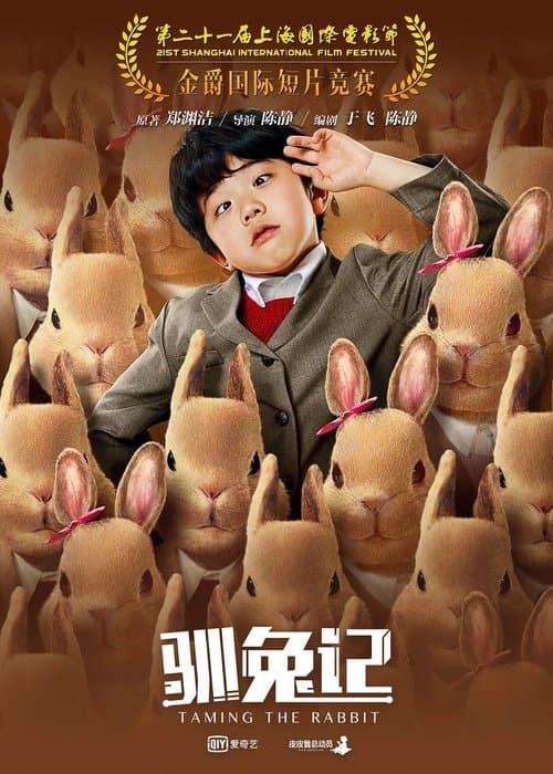 驯兔记 poster