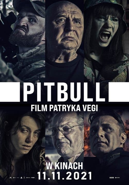 Pitbull poster