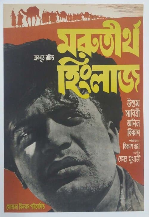 মরুতীর্থ হিংলাজ poster