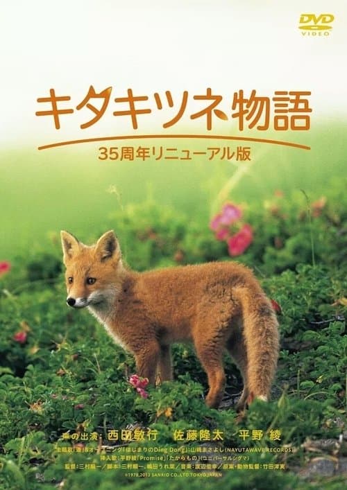 Der Gletscherfuchs poster
