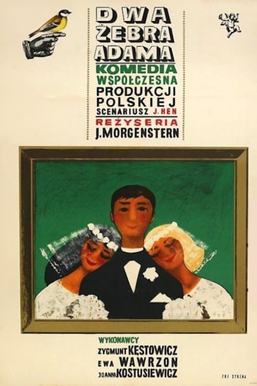 Dwa żebra Adama poster