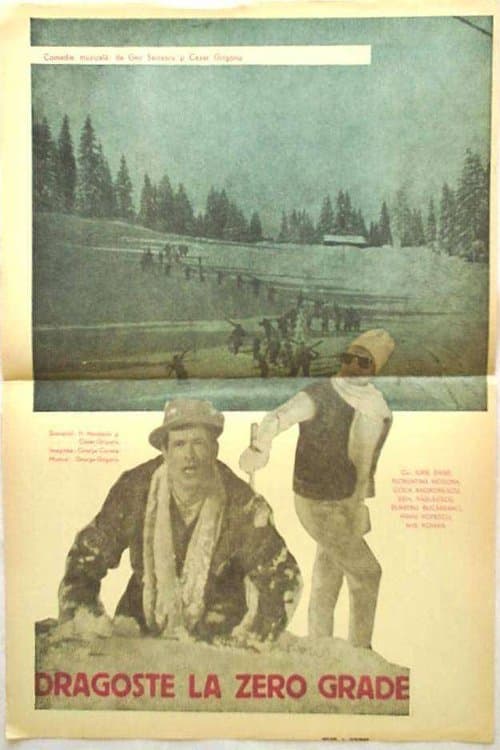 Dragoste la zero grade poster