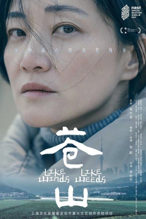 苍山 poster