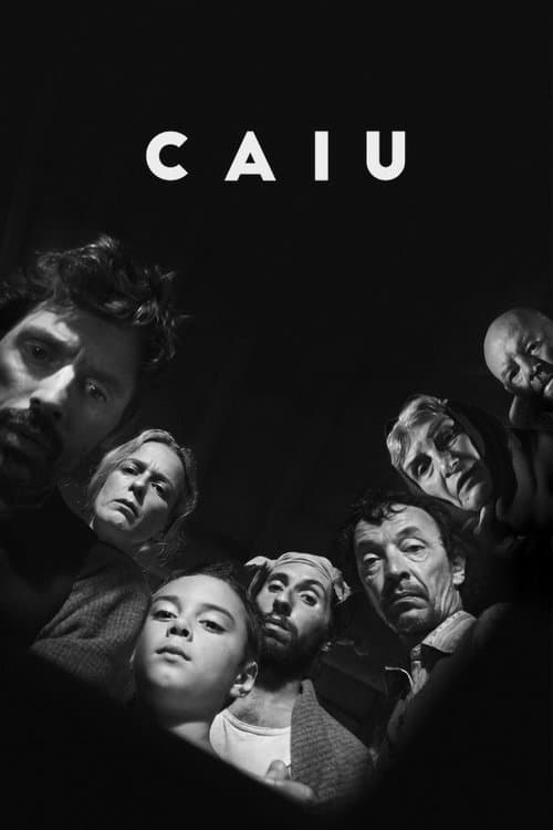 Caiu poster