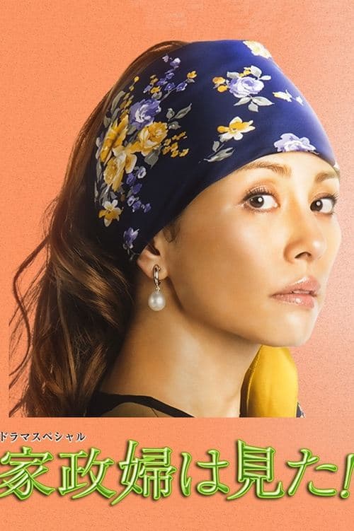 家政婦は見た! poster