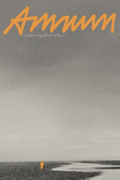 Amrum poster