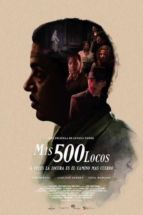 Mis 500 locos poster