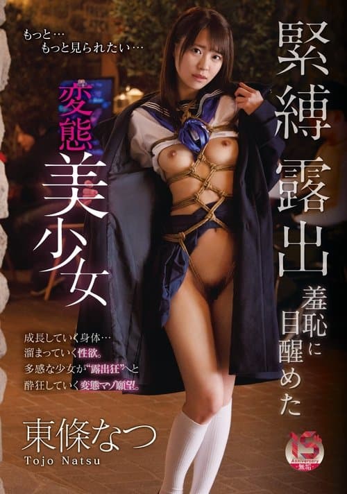 緊縛露出羞恥に目醒めた変態美少女 poster