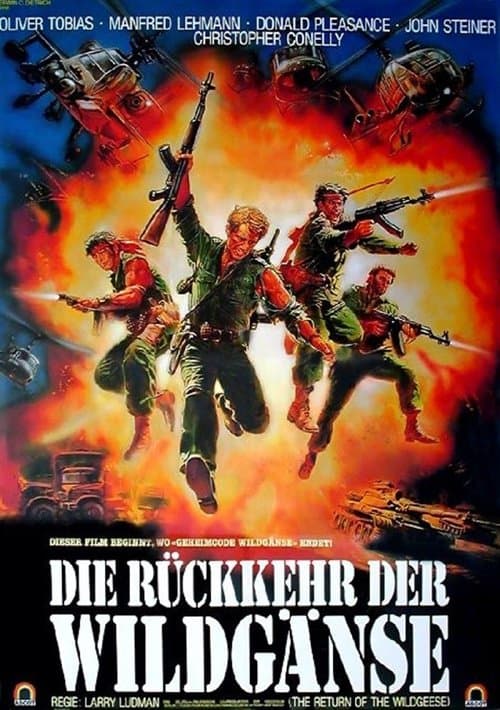 Die Rückkehr der Wildgänse poster