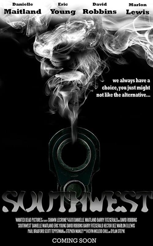 Southwest poster