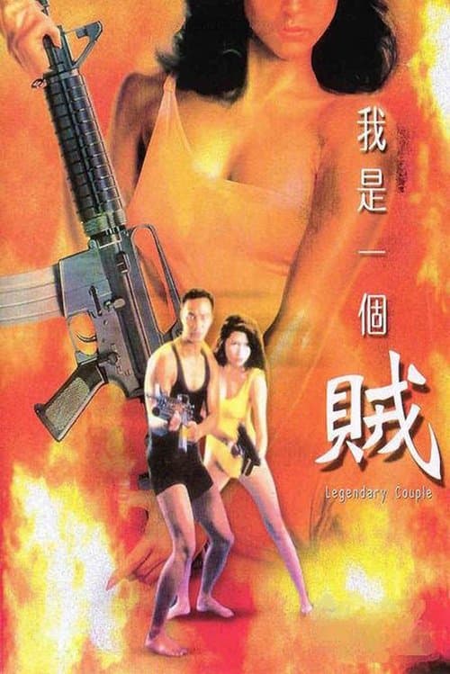 我是一個賊 poster