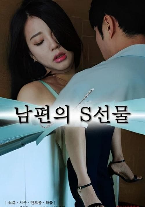 남편의 S선물 poster