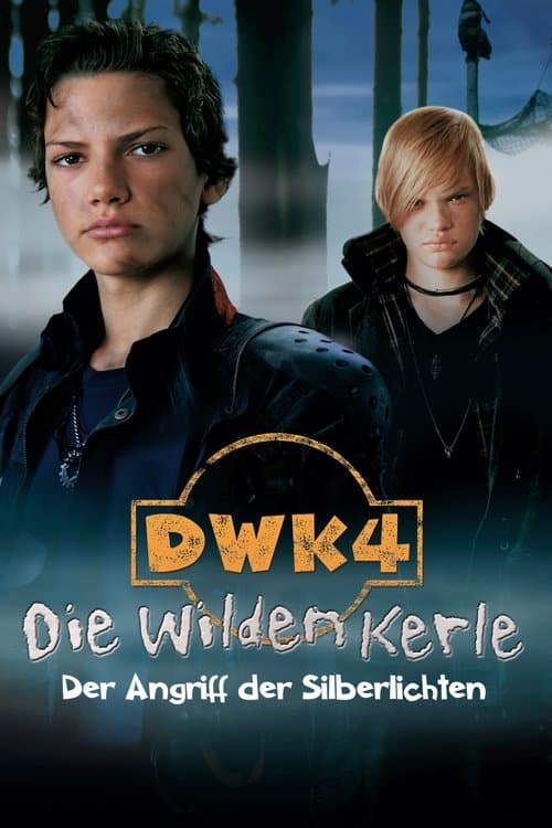 Die Wilden Kerle 4 poster