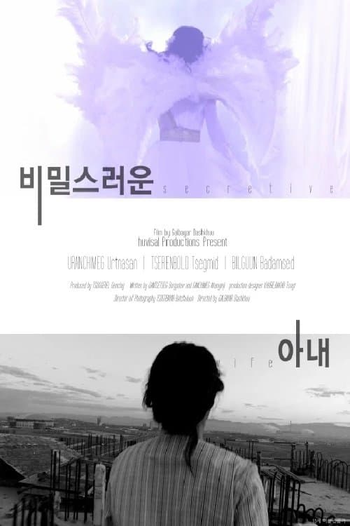 비밀스러운 아내 poster