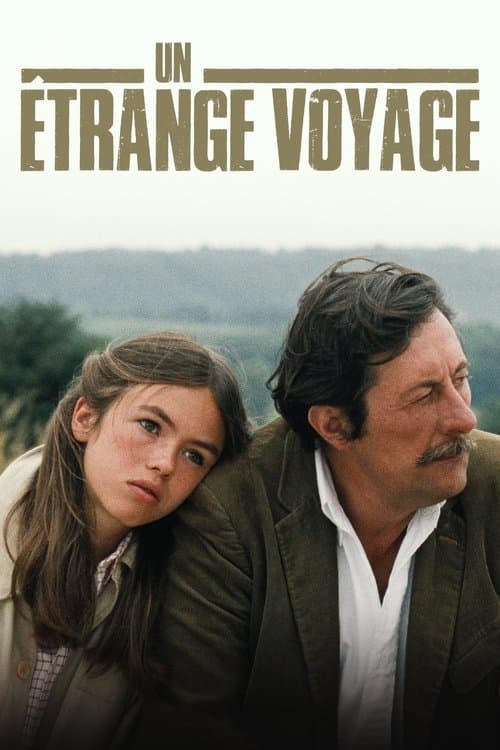 Eine seltsame Reise poster