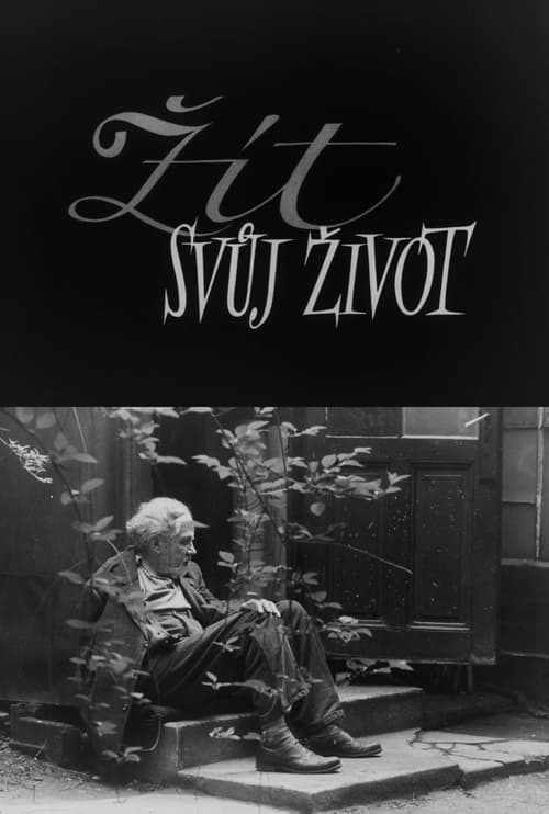 Žít svůj život poster
