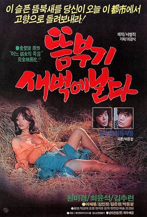 뜸부기 새벽에 날다 poster