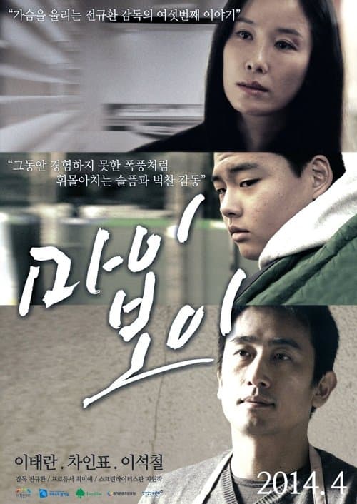 마이보이 poster