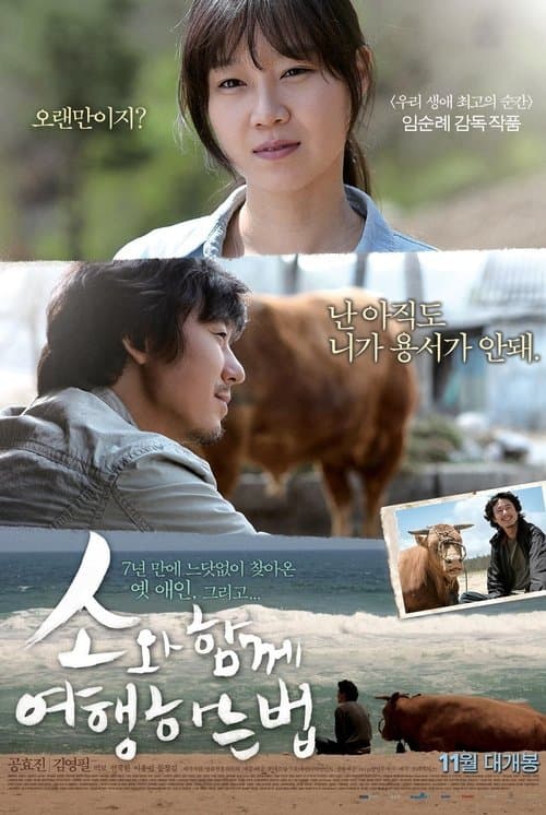 소와 함께 여행하는 법 poster
