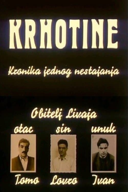 Krhotine poster