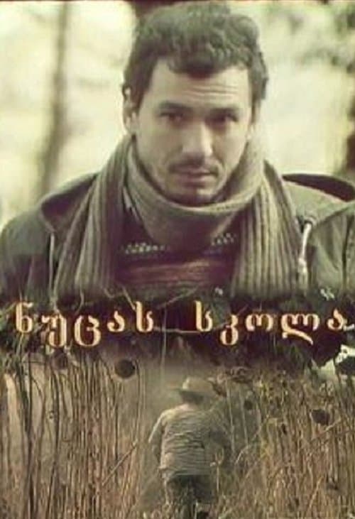 ნუცას სკოლა poster