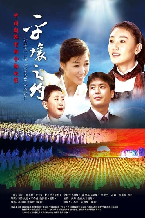 平壤之约 poster