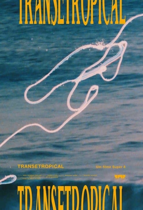 Transetropical poster