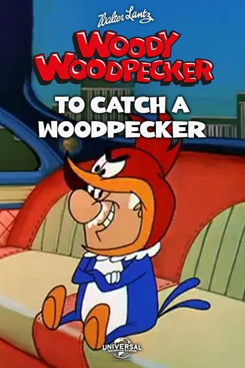 To Catch a Woodpecker poster
