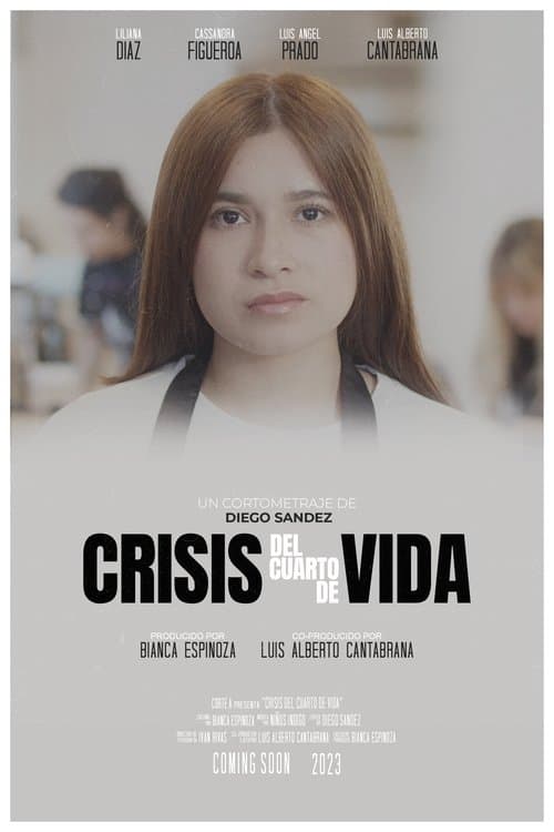 Crisis del Cuarto de Vida poster
