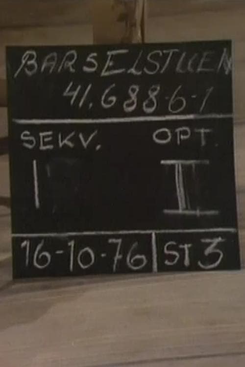 Barselstuen poster