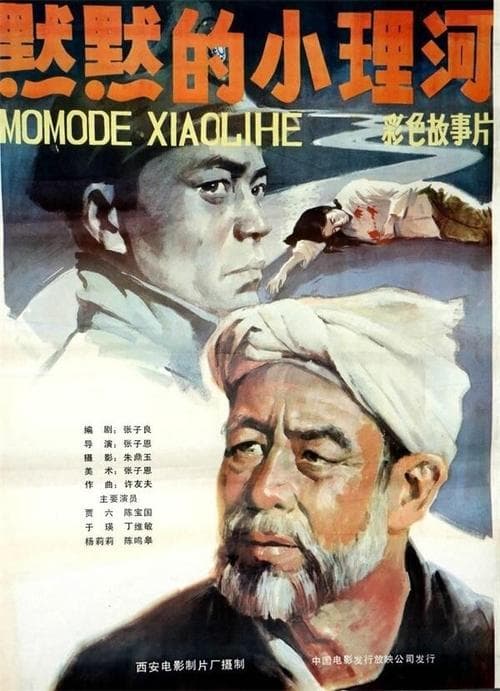 默默的小理河 poster
