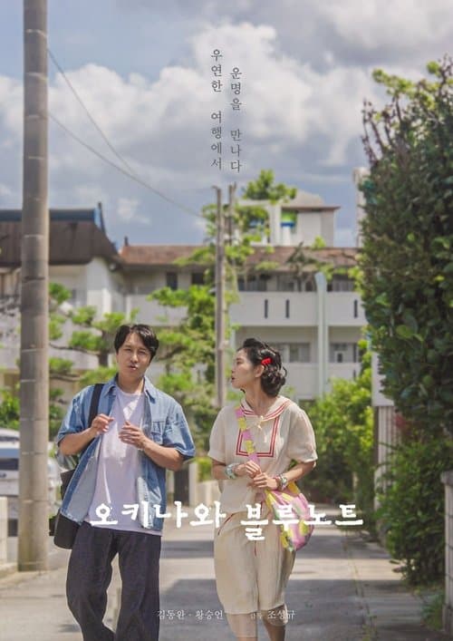 오키나와 블루노트 poster