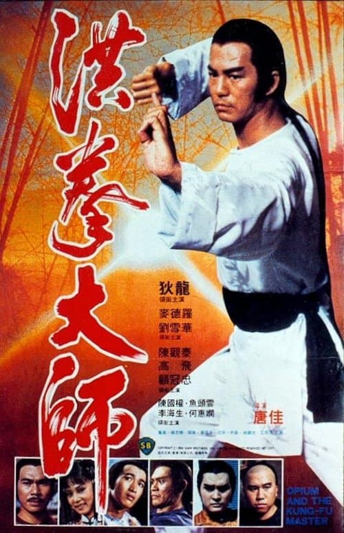 洪拳大師 poster
