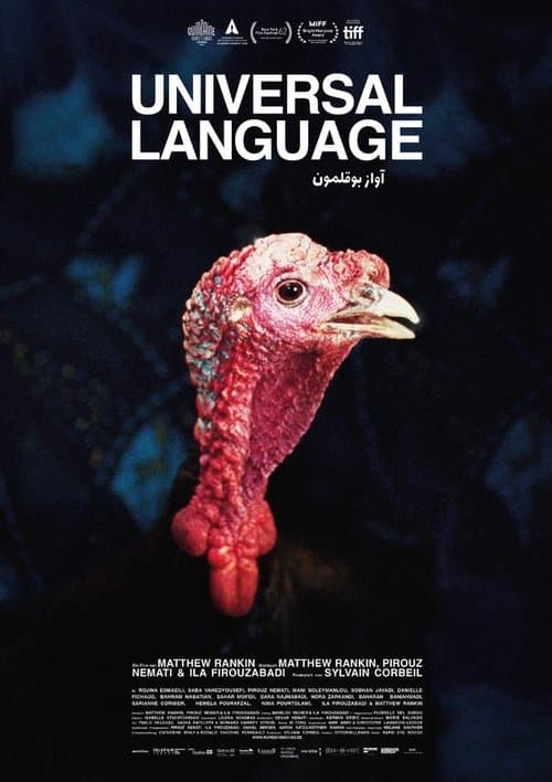 Une langue universelle poster