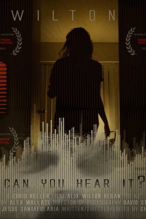 20 Hz poster