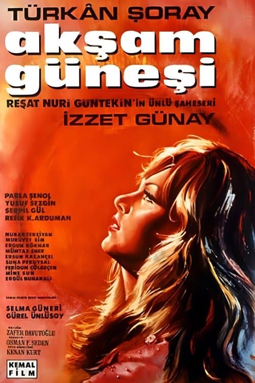 Akşam Güneşi poster