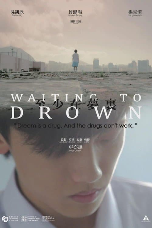至少在夢裏 poster