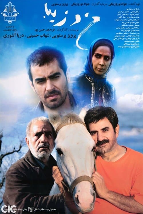 من و زیبا poster