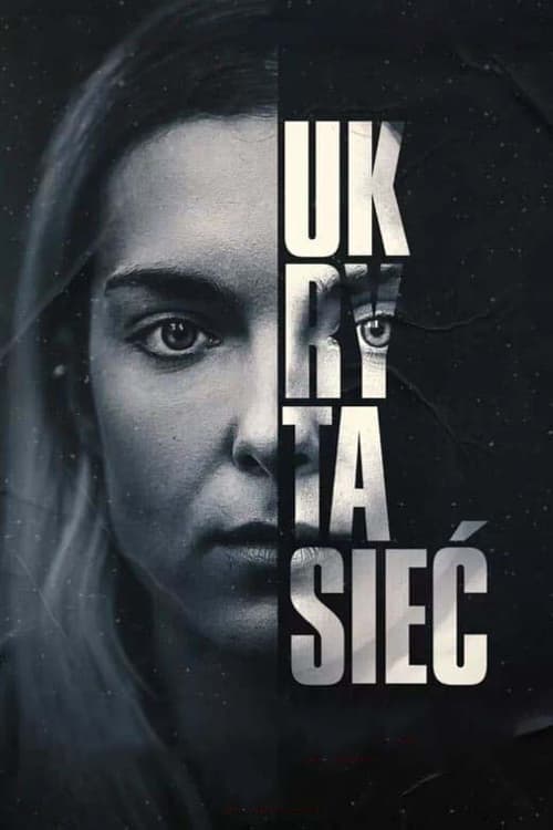 Ukryta sieć poster