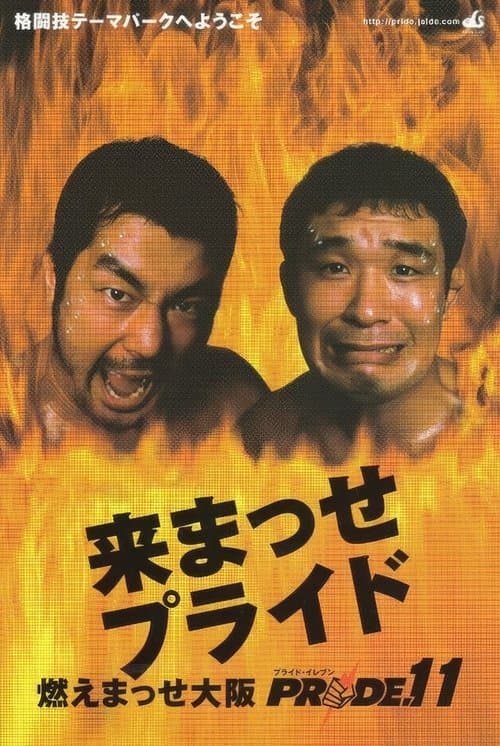 PRIDE.11 poster