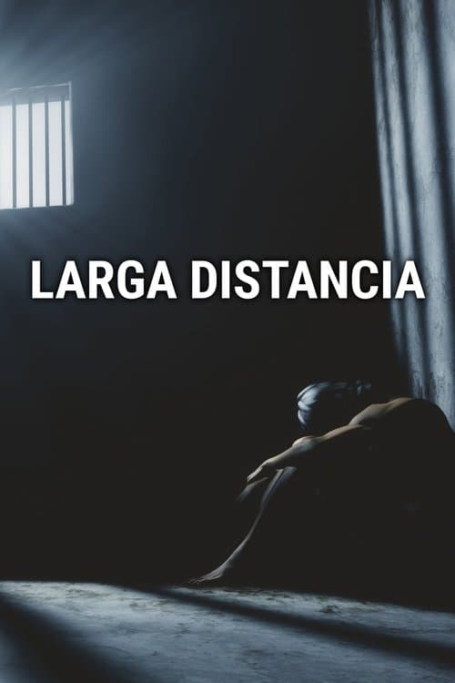 Larga distancia poster