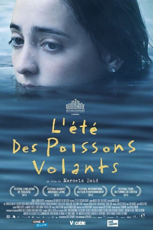 Der Sommer der fliegenden Fische poster