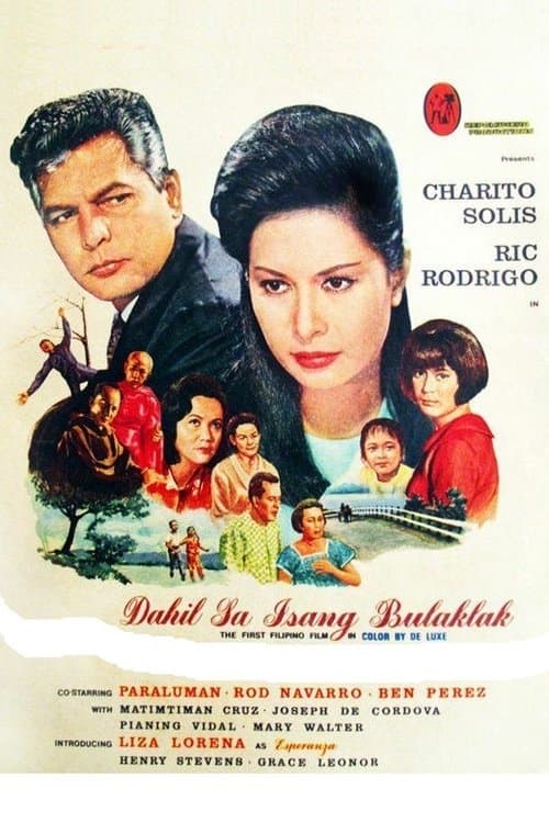 Dahil sa Isang Bulaklak poster