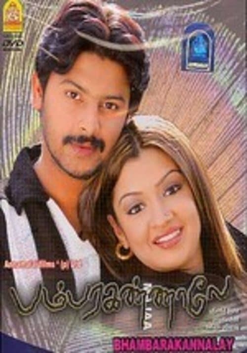 பம்பர கண்ணாலே poster