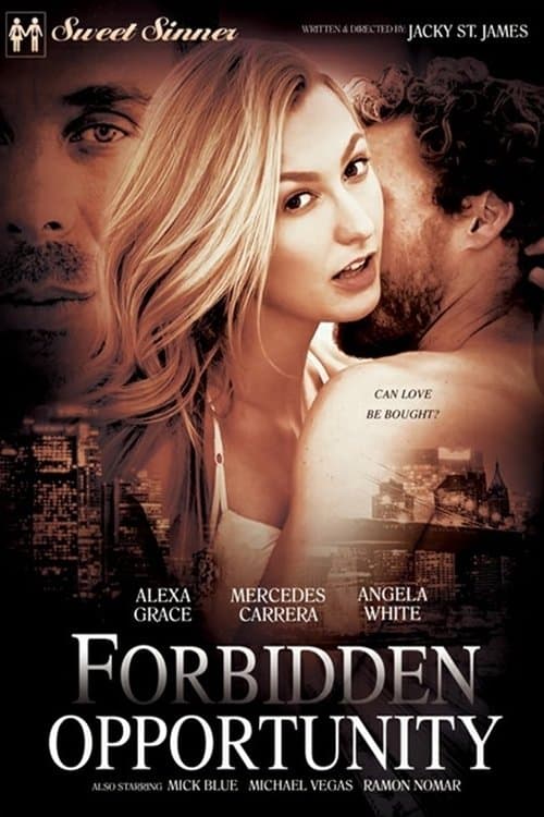 Forbidden Opportunity poster