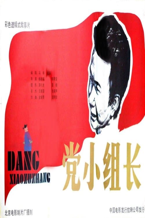 党小组长 poster