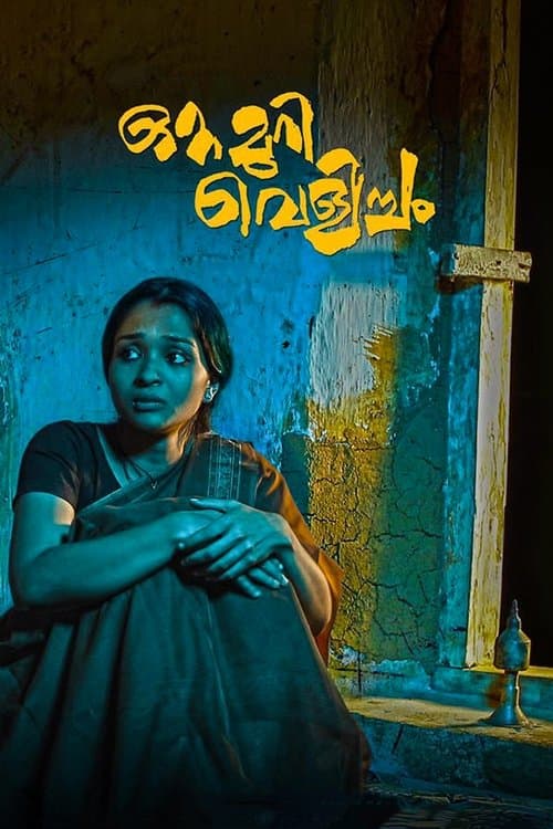 ഒറ്റമുറി വെളിച്ചം poster