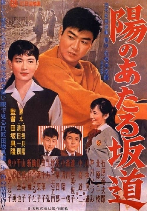 陽のあたる坂道 poster