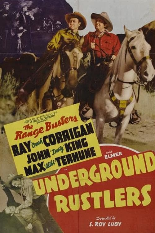 Drei Cowboys und ein Mädel poster