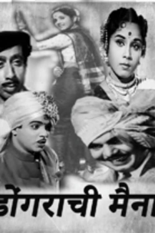 डोंगरची मैना poster